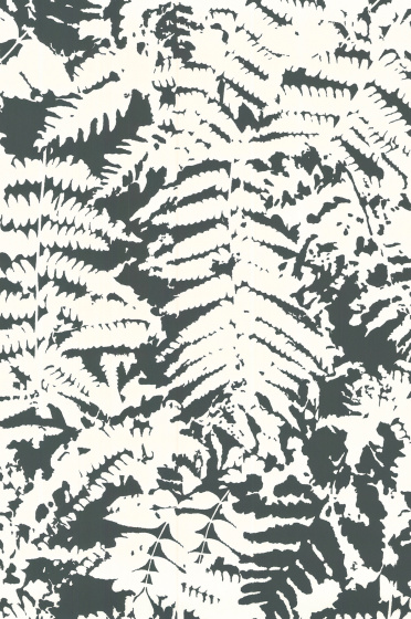 Fern - Off Black